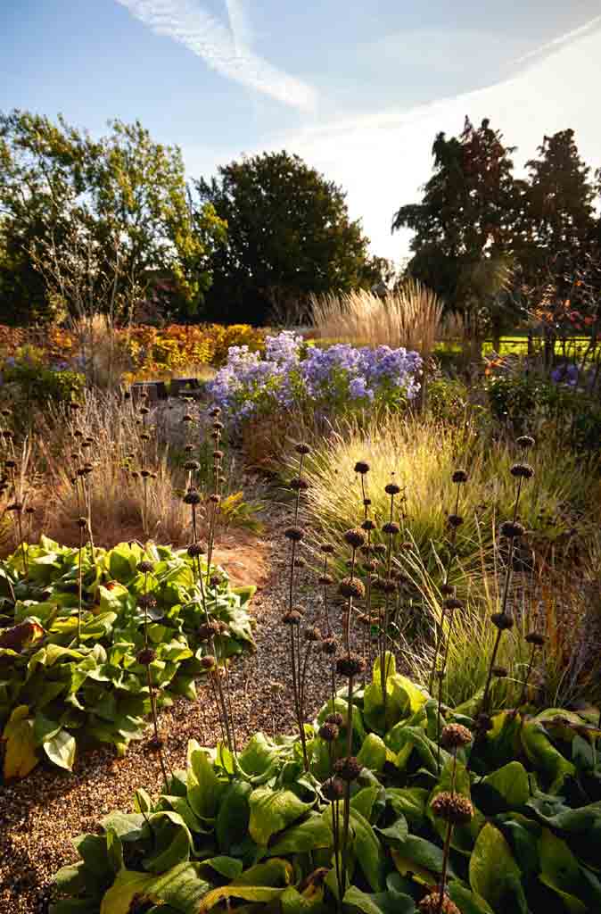 Plantas otoñales para decorar jardines